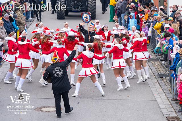 Foto Laudi_Pleintinger_Faschingszug-206092.jpg